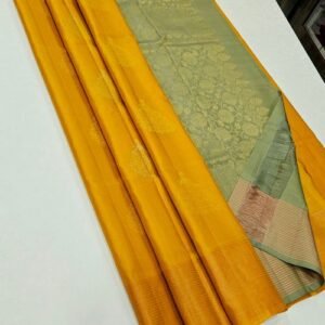Fancy Sarees